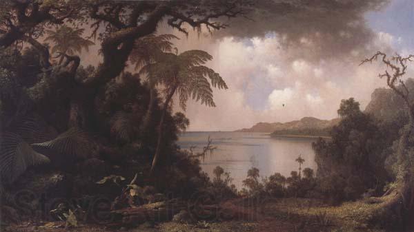 Martin Johnson Heade Vew from Fern-Tree Walk,Jamaica